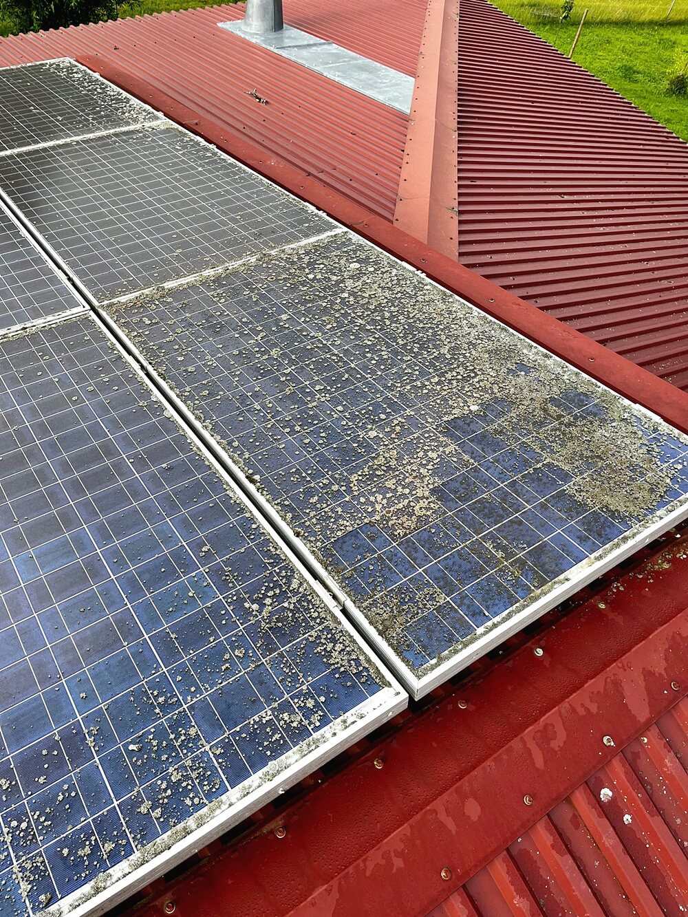 Photovoltaikreinigung-JB-Dienstleistungen-vorher Photovoltaikreinigung-JB-Dienstleistungen-vorher
